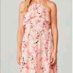 Adorable and brand new Cupcakes and Cashmere dress